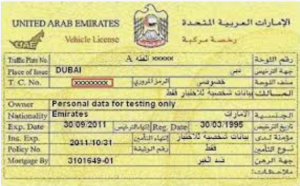 Traffic Code Details - United Arab Emirates